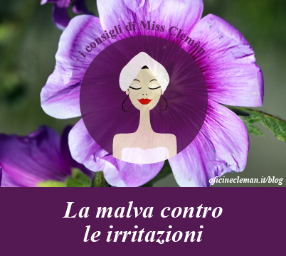 Infuso di malva contro le irritazioni